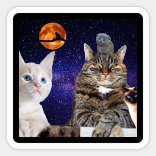 Cats in Space Sticker